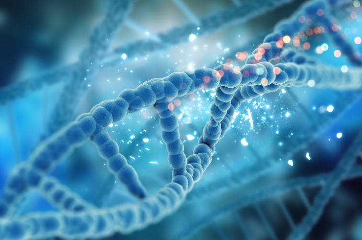 Cytogenetics